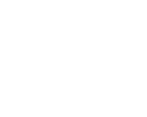 alisuite.ru